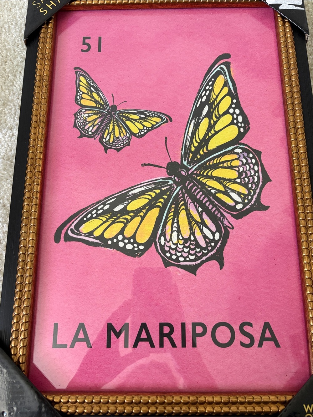 Sapna shah La Mariposa Pink & Yellow Butterfly Wall Art